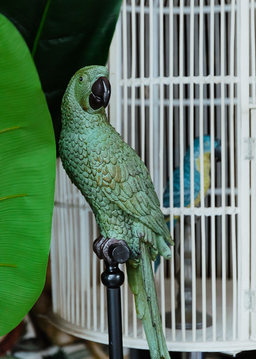 Tropical Parrot 